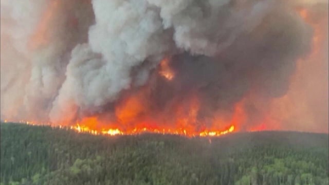 Mild winters, millions of acres to blame for wildfire smoke from Canada