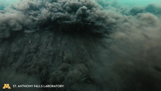 Underwater videos reveal impact of wakesurfing on Minnesota lakes
