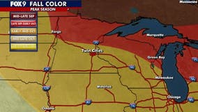 Minnesota fall colors: How vibrant will they be this year?
