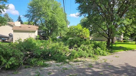Plymouth homeowner livid after Xcel Energy removes trees without warning