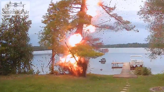 Dramatic video shows lightning strike exploding tree in Wisconsin