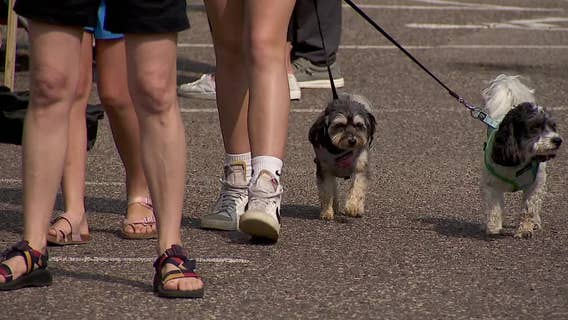 Things to do in Minnesota: 5 things to do this weekend (Sept. 5-7)