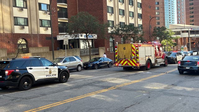 Minneapolis man charged in Loring Park double homicide