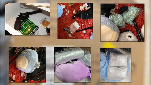 Drug-stuffed animal toys lead to Winona man's conviction