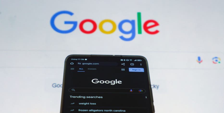 How to make FOX 9 a 'preferred source' when searching on Google