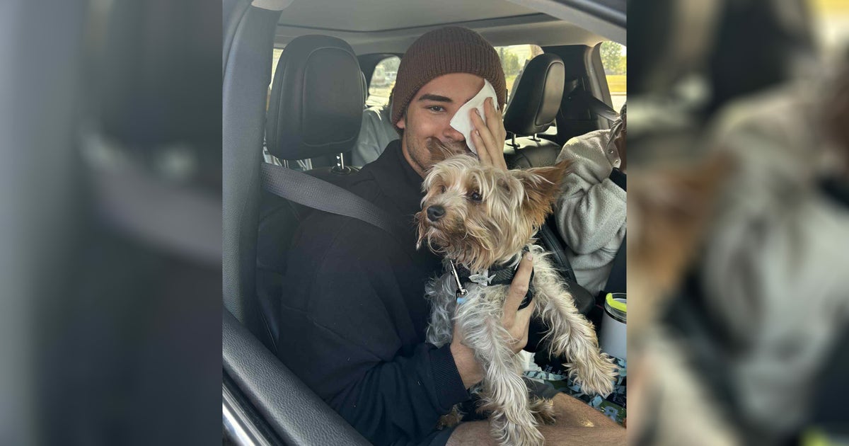 Missing dog found safe after McGregor plane crash | FOX 9 Minneapolis ...