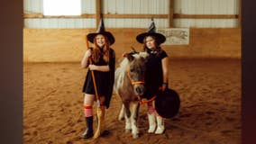 Local mother helps families through horse nonprofit