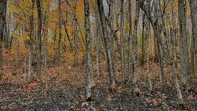 Crosby fire 95% contained; Superior Hiking Trail to reopen Thursday