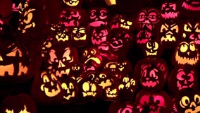 Things to do in Minnesota: 5 things to do this Halloween (Oct. 31–Nov. 2)