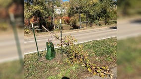 St. Paul trees vandalized again, 32 damaged along Shepard Road
