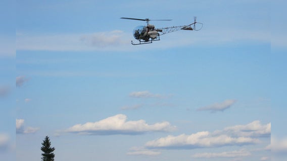 Minnesota DNR reforestation efforts utilized aerial seeding via helicopter