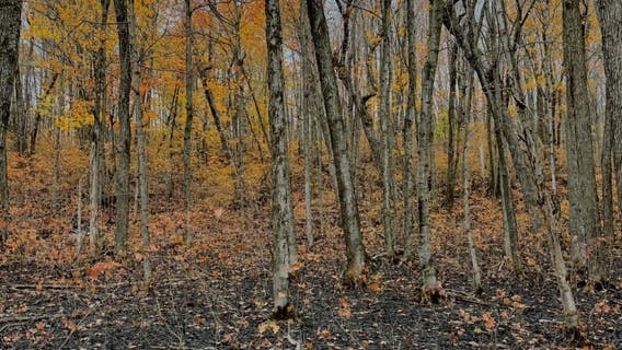 Crosby fire 95% contained; Superior Hiking Trail to reopen Thursday