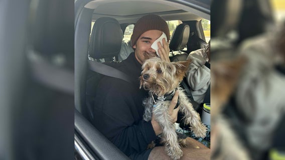 Missing dog found safe after McGregor plane crash