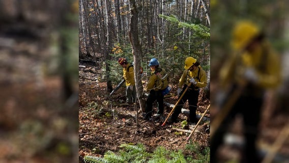 Crosby wildfire continues to grow as crews reach 50% containment
