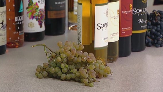 Minnesota's wine grape harvest season comes to an end with the start of fall