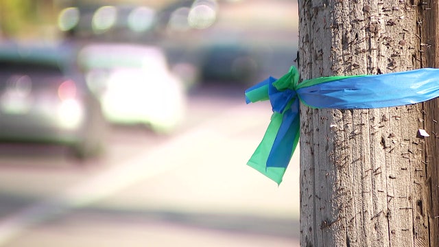 Annunciation students to create art with blue-and-green ‘Bows of Love’