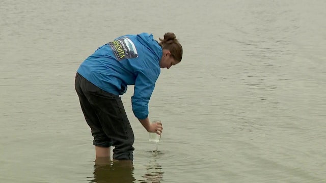 40 Minnesota waterways test positive for microplastics pollution