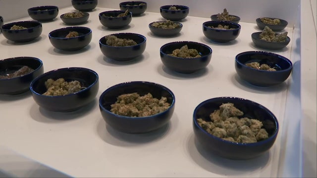 Supreme Court will weigh gun rights for 'regular' marijuana users