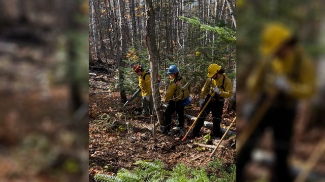 Crosby wildfire continues to grow as crews reach 50% containment