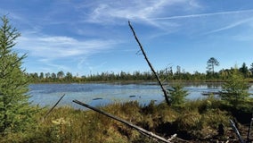 Minnesota DNR land sale: Bidding opens Dec. 2 for rural properties