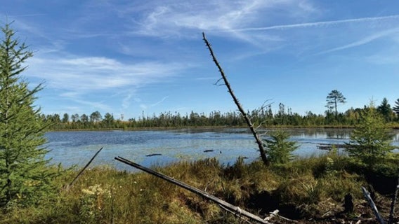 Minnesota DNR land sale: Bidding opens Dec. 2 for rural properties