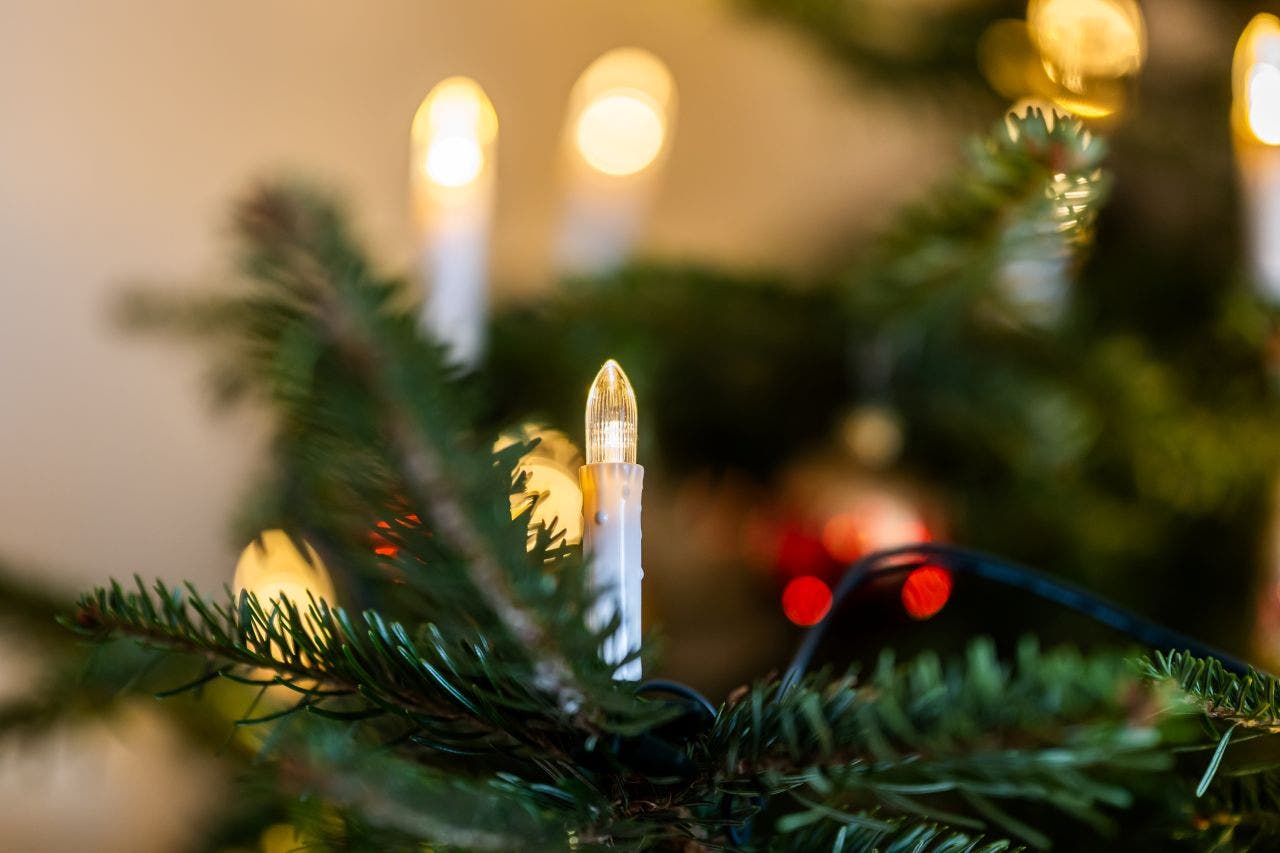 FOX 9 brings holiday cheer through 'Primp Our Tree' campaign