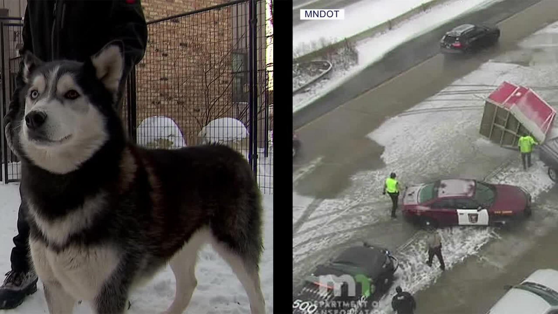 Sled dogs recovering after trailer splits in half on icy Minnesota interstate