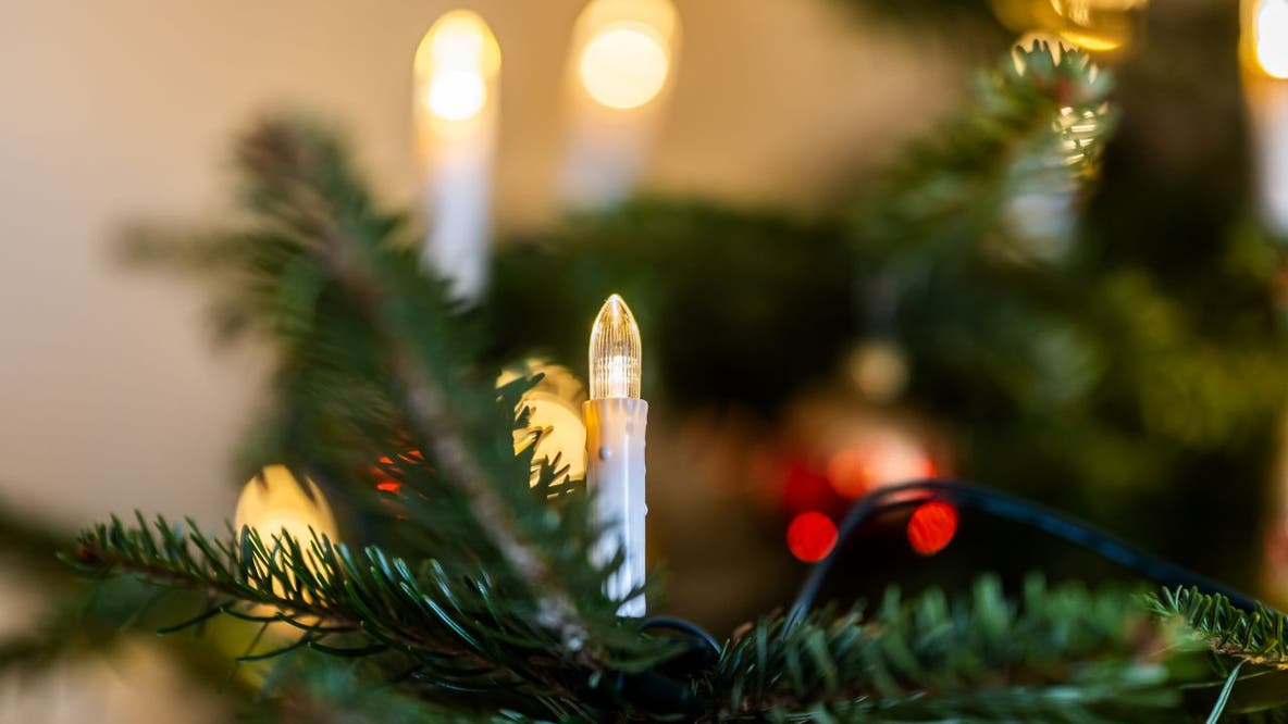 FOX 9 brings holiday cheer through 'Primp Our Tree' campaign