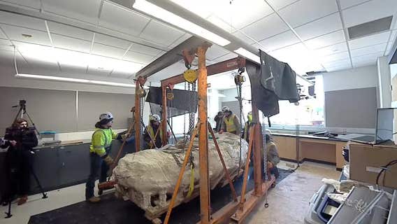 'Dinosaur mummy' fossil set to be studied at Winona State University