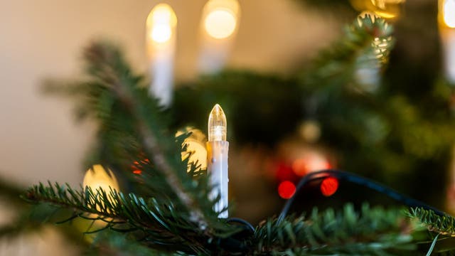 FOX 9 brings holiday cheer through 'Primp Our Tree' campaign