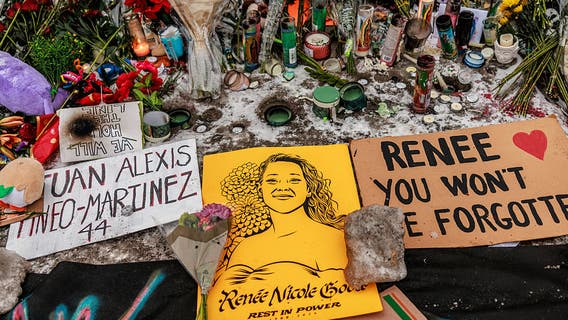 Minneapolis ICE shooting: Renee Good's family says she had 'infinite capacity for love'