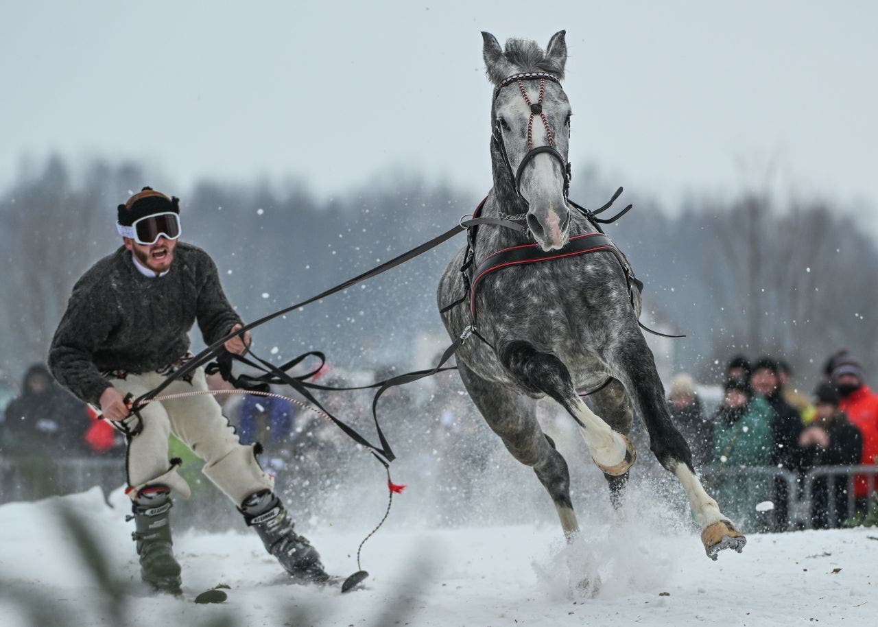 Things to do in Minnesota: 4 things to do this weekend (Feb. 20-22)