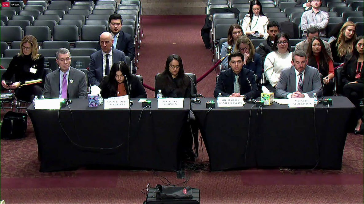 Renee Good shooting: Panel on DHS use of force holds 3 minutes, 26 seconds of silence