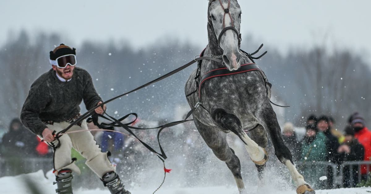 Things to do in Minnesota: 4 things to do this weekend (Feb. 20-22)