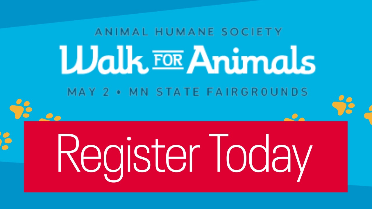 Walk for Animals