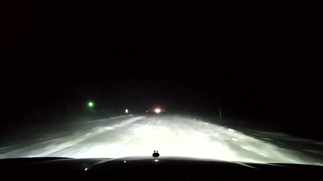 Live updates: Southern MN roads closed or no travel advisory due to white-out conditions