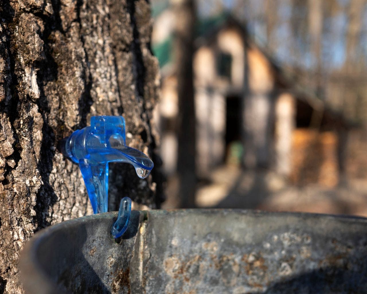 Things to do in Minnesota: 5 things to do this weekend (March 27-29)