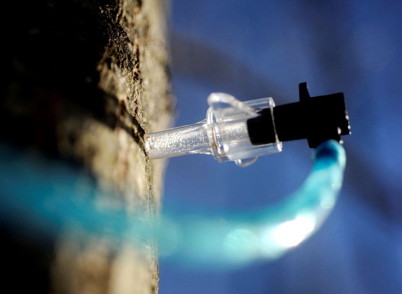 Things to do in Minnesota: 4 things to do this weekend (March 20–22)