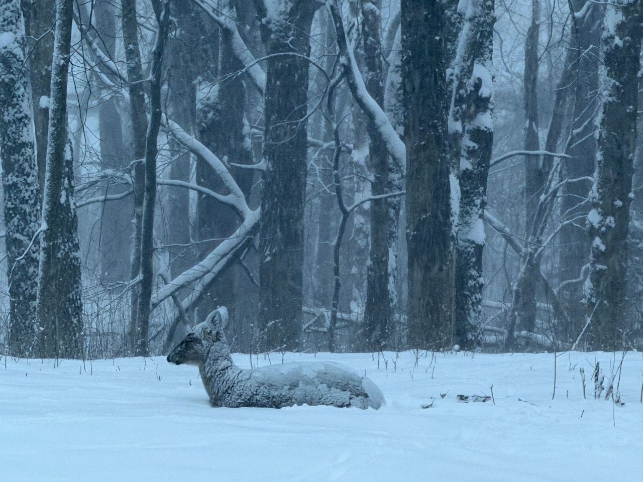 Minnesota snow totals so far for March 14-15 winter storm