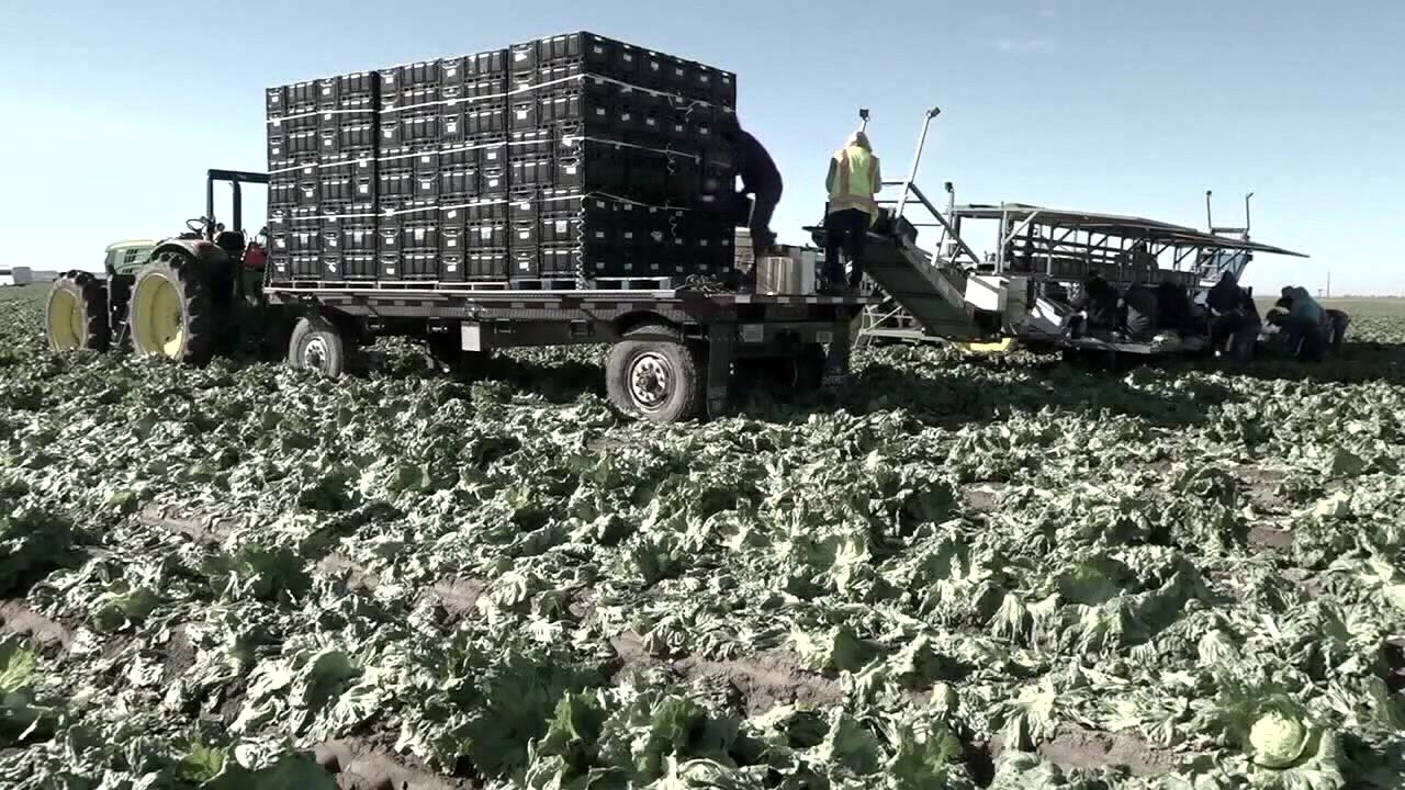 Minnesota recognizes Farmworkers Day following Cesar Chavez fallout
