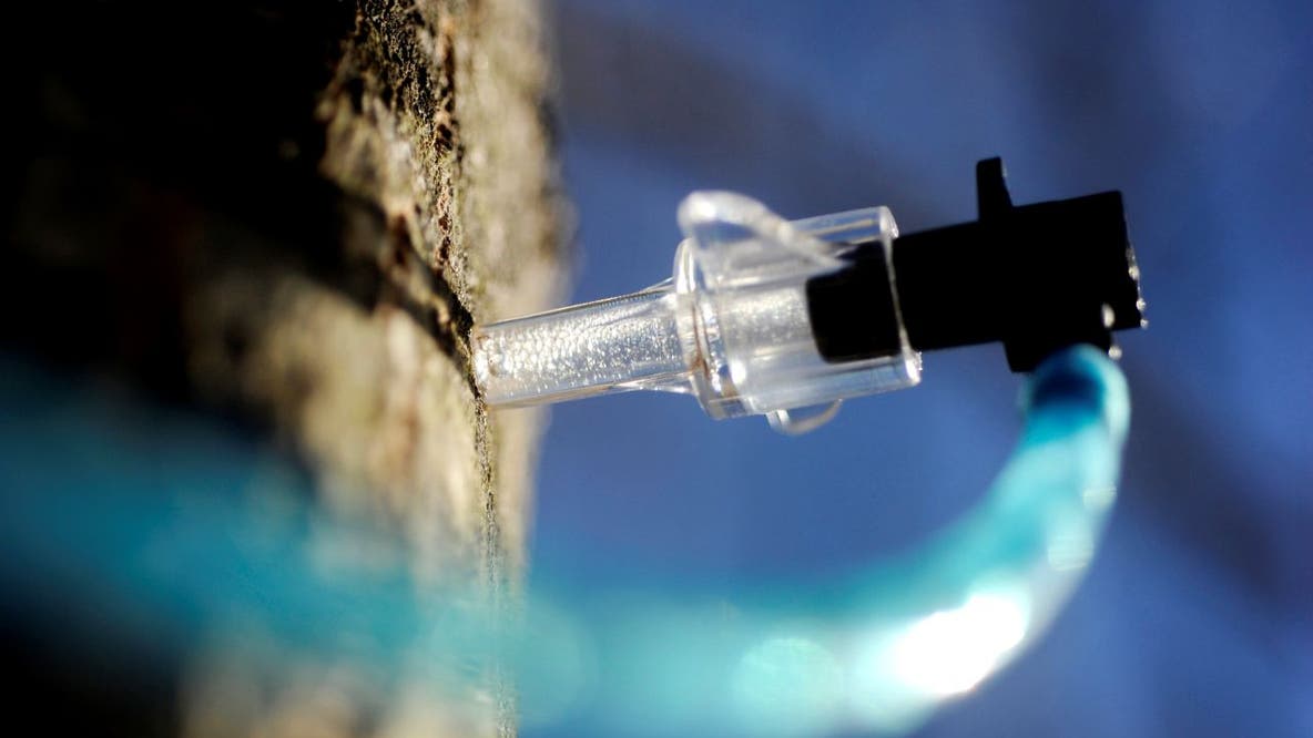 Things to do in Minnesota: 4 things to do this weekend (March 20–22)