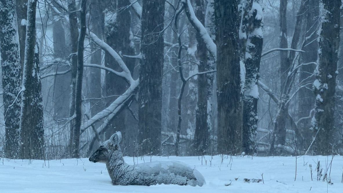 Minnesota snow totals so far for March 14-15 winter storm