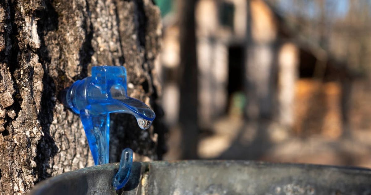 Things to do in Minnesota: 5 things to do this weekend (March 27-29)