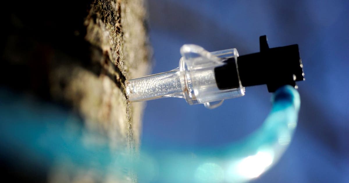 Things to do in Minnesota: 4 things to do this weekend (March 20–22)