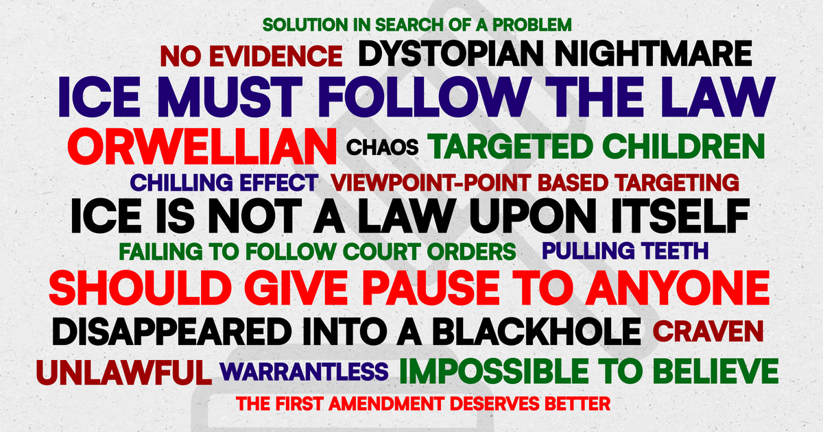 Judges called ICE operations ‘Orwellian' and 'craven'. What else did they say?