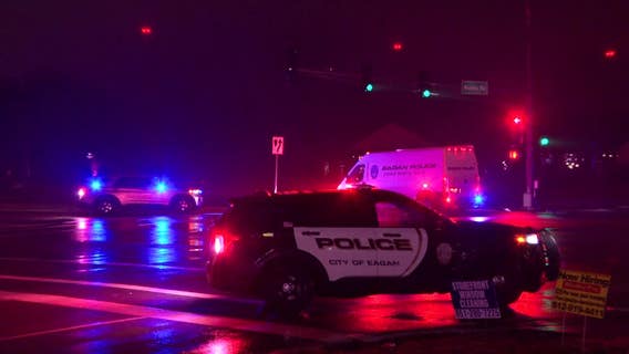 Man accused in Eagan hit-and-run claimed 'thing' jumped out in front of him: charges