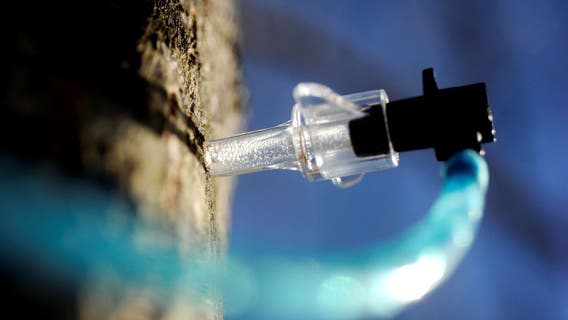 Things to do in Minnesota: 4 things to do this weekend (March 20–22)