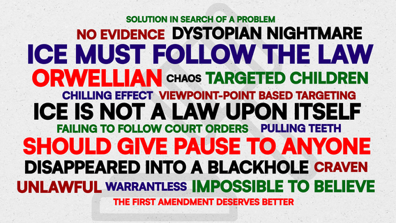 Judges called ICE operations ‘Orwellian' and 'craven'. What else did they say?