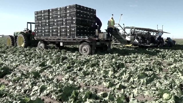 Minnesota recognizes Farmworkers Day following Cesar Chavez fallout