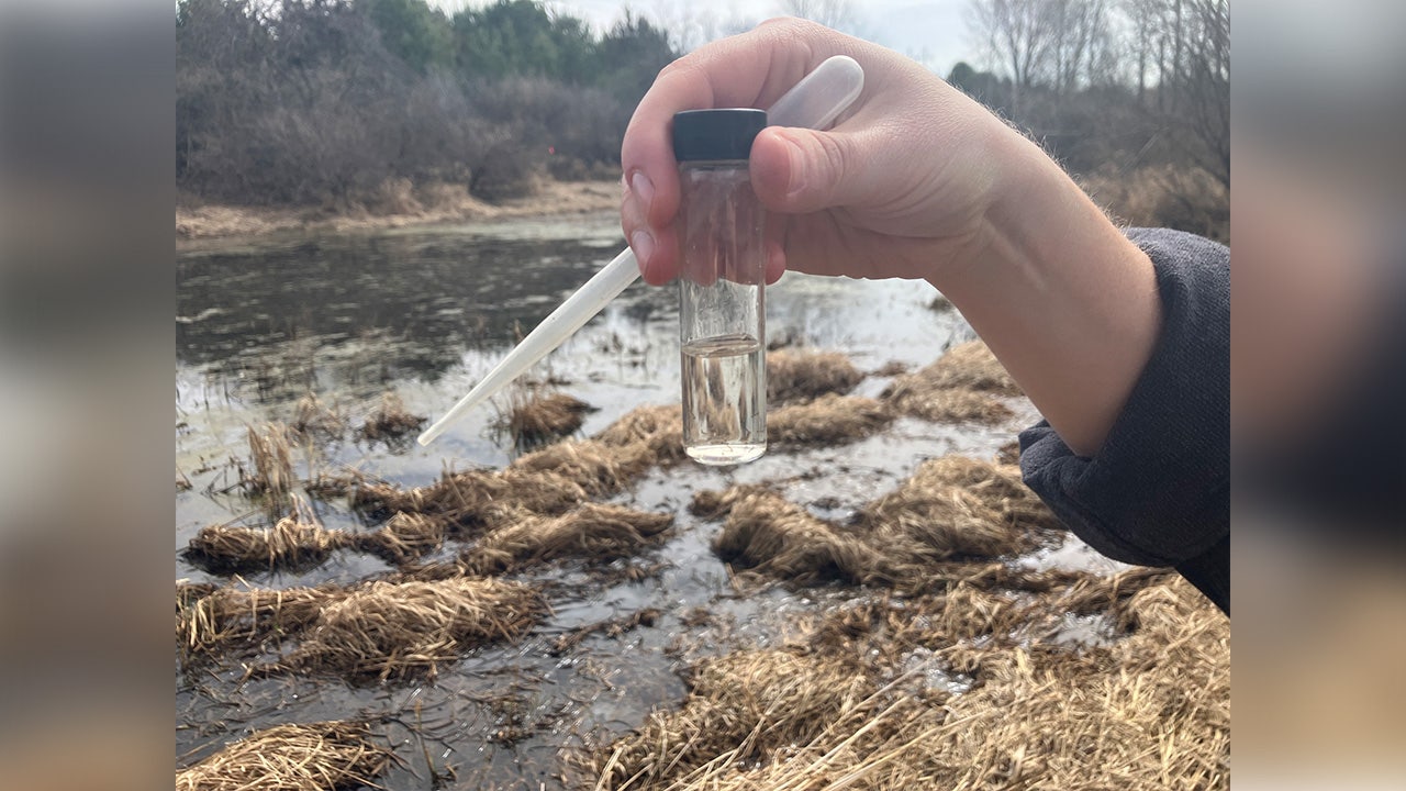 Minnesota mosquito and tick predictions for 2026